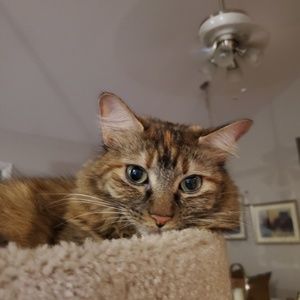 Meet your Posher, Kristy